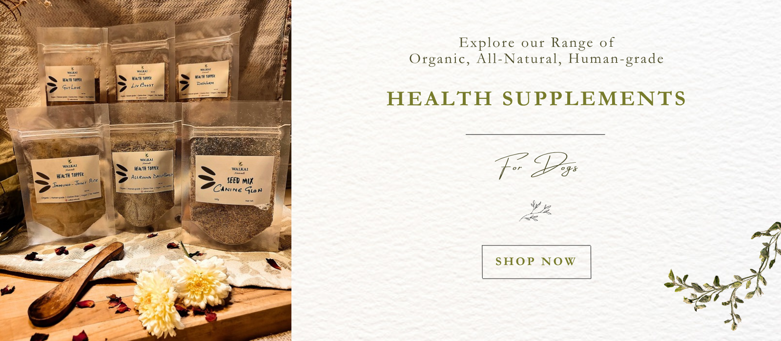 Organic Natural Dog Health Supplements